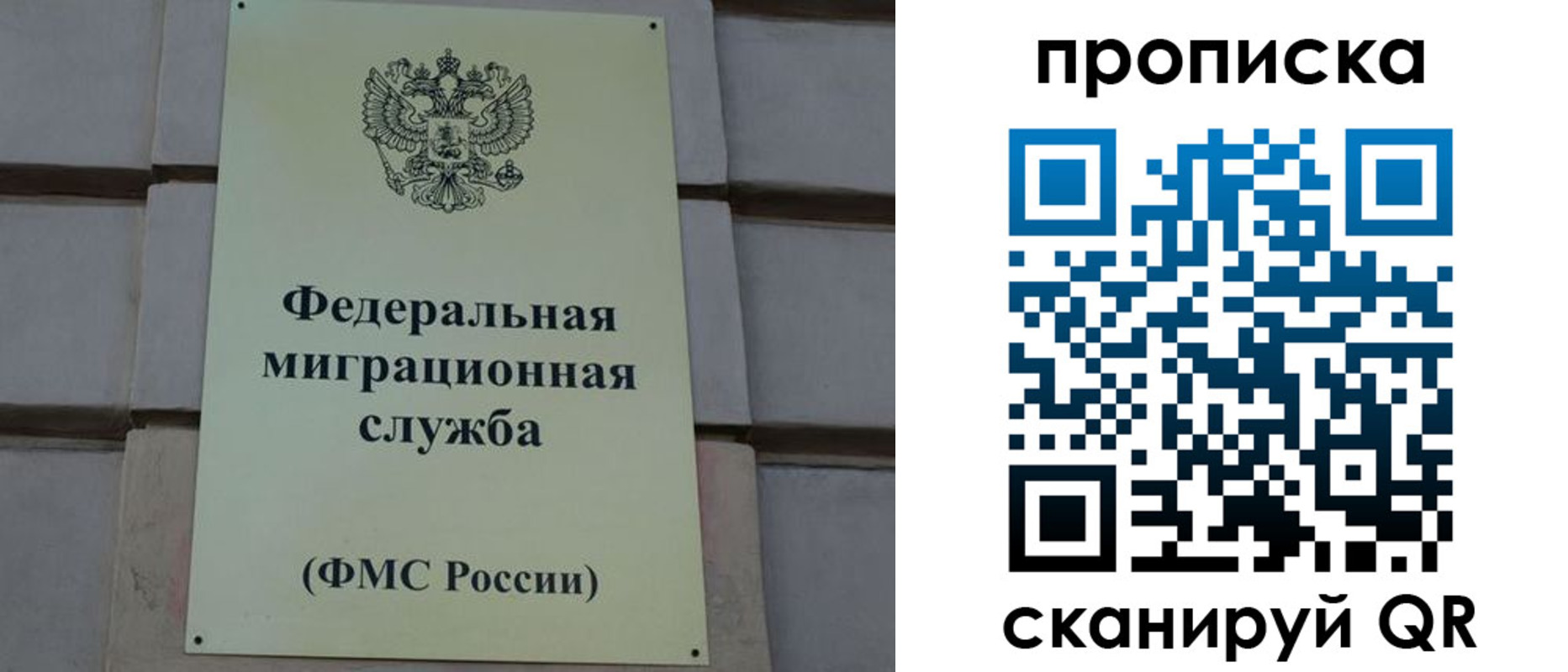 прописка поиск в Иваново